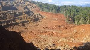 Masalah Lingkungan Hidup di Indonesia: Hutan Gundul dan Proyek Tambang yang Merusak